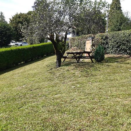 Appartement Le Parad'Hiver Gérardmer Buitenkant foto